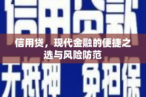 涉县信用贷，现代金融的便捷之选与风险防范