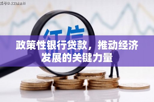 涉县政策性银行贷款，推动经济发展的关键力量