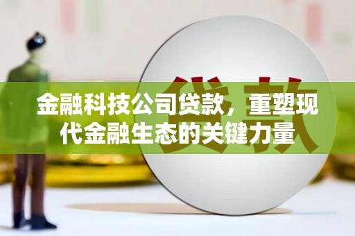 涉县金融科技公司贷款，重塑现代金融生态的关键力量
