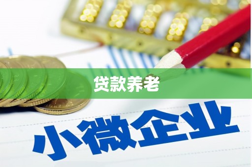 涉县贷款养老