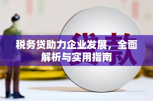 涉县税务贷助力企业发展，全面解析与实用指南