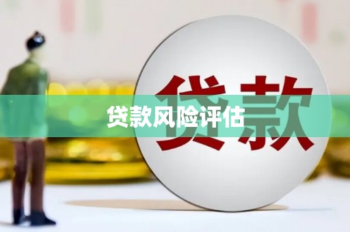 涉县贷款风险评估