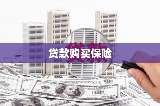 涉县贷款购买保险