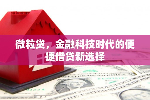 涉县微粒贷，金融科技时代的便捷借贷新选择