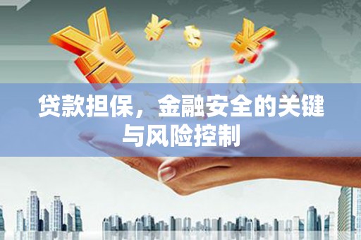 涉县贷款担保，金融安全的关键与风险控制