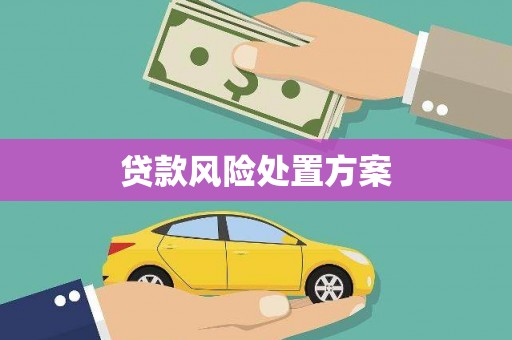 涉县贷款风险处置方案