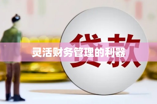 涉县灵活财务管理的利器