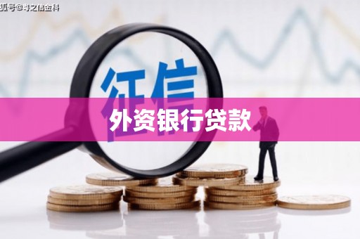 涉县外资银行贷款