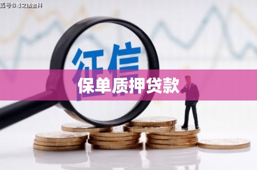 涉县保单质押贷款
