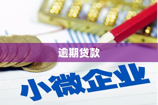 涉县逾期贷款